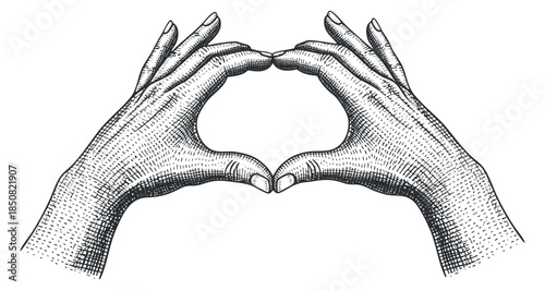 A pair of hands forming a heart shape in vintage engraved style, perfect for romantic designs or artistic projects