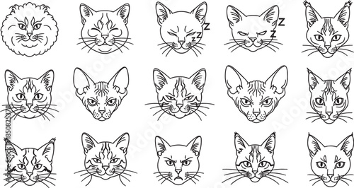Collection of various cat face line art drawings showing different breeds and expressions.