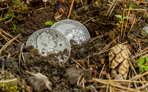 Tableau sur toile Ancient coins found in the ground