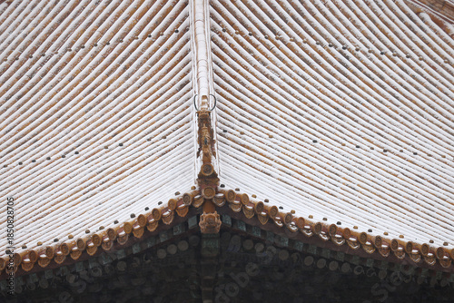 forbidden city beijing