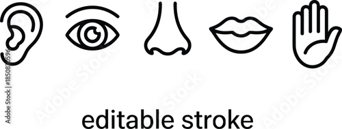 Human five senses line icons set showing ear eye nose lips hand editable stroke minimalist vector illustration