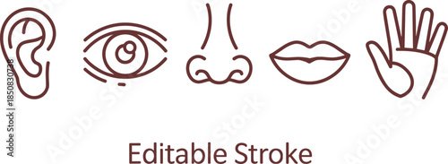 Human five senses line icons set showing ear eye nose lips hand editable stroke minimalist vector illustration