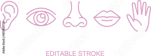 Human five senses line icons set showing ear eye nose lips hand editable stroke minimalist vector illustration