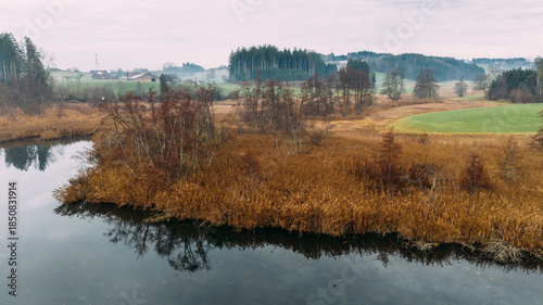Tranquil Riverbank Reeds and Winter Forest Reflections