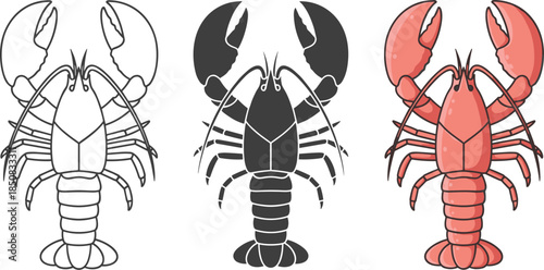 Illustration of a lobster in three different styles isolated on white background outline, silhouette, and colored version, perfect for seafood menus