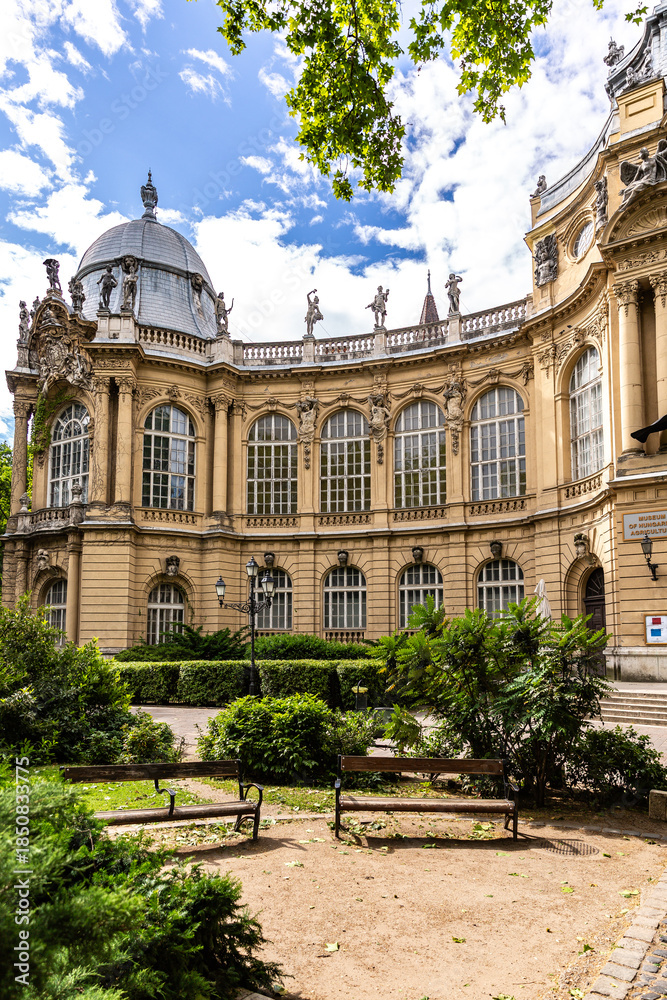 Fototapeta premium Budapest