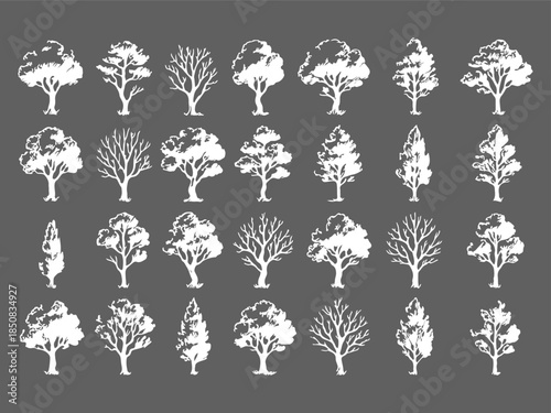 30 Hand Drawn Tree Sketch Silhouettes in Vintage Ink Style