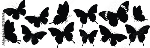 Silhouettes of twelve diverse butterfly species, showcasing unique wing shapes, sizes, and patterns, ideal for entomology, nature design, and biodiversity themes