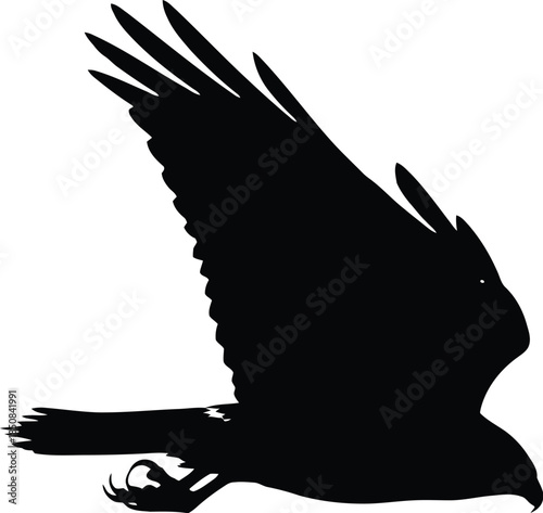 Silhouette of a bird of prey flying with wings spread