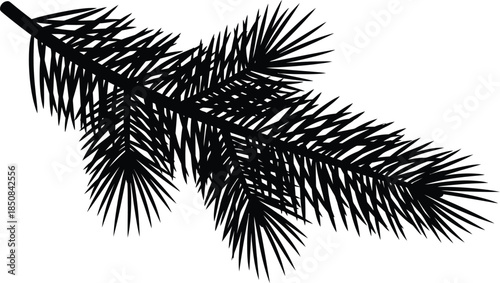 Silhouette of a pine tree branch extending outward