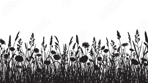 Silhouette of Wildflowers and Grass on Transparent Background
