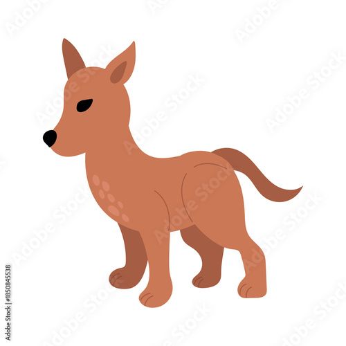 Illustration of an Australian Dingo on White Background
