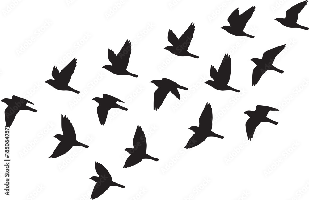 Fototapeta premium Dynamic Minimalist Black Bird Silhouettes Flying Against a Stark White Background for a Freeing Design