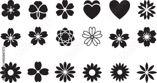 Black and White Floral Designs Minimalist Art Energetic Feel