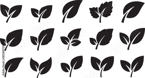 Black and White Leaf Silhouettes Minimalist Art Energetic Mood