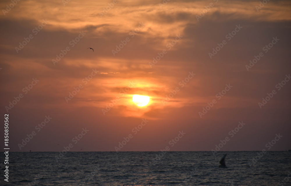 Obraz premium Golden sun rises over the calm sea. The light glow is orange. There is a silhouette of a bird in the middle of the sky 