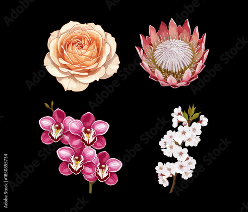 Four Most Beautiful Flowers in the World Vector Art