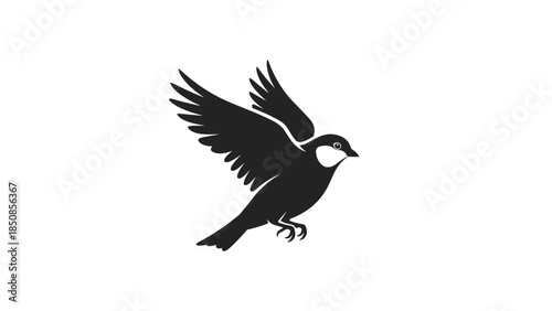 Black Bird Silhouette Flying in Air.