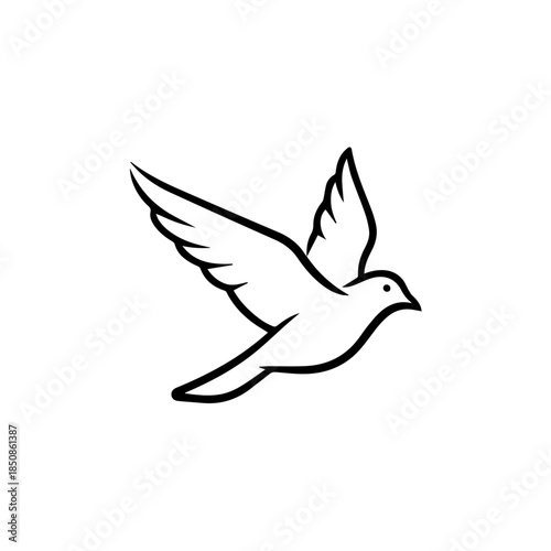 Flying dove illustration
