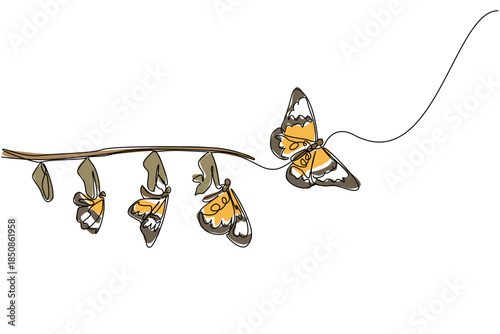 Single continuous line drawing the evolution from cocoon to butterfly attached to tree branch. A beautiful transformation. Butterfly Education and Awareness Day. One line design vector illustration