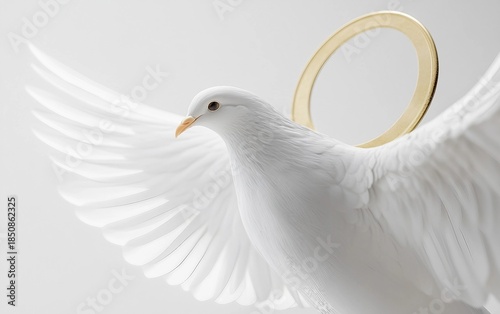 Sacred white dove representing the Holy Spirit Isolated on White Background.