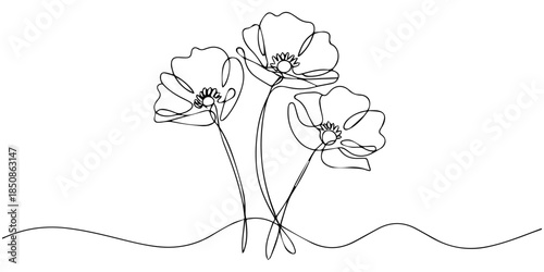 Poppy flowers Continuous line drawing. Minimalist modern art, hand draw one continuous line art Poppy flowers, Minimalist poppy flower continuous one line drawing isolate outline vector illustration