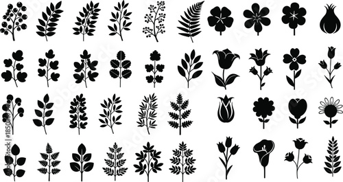Collection of black and white botanical plant silhouettes