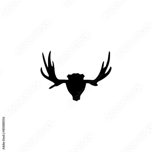 black spider on white background, dear horn