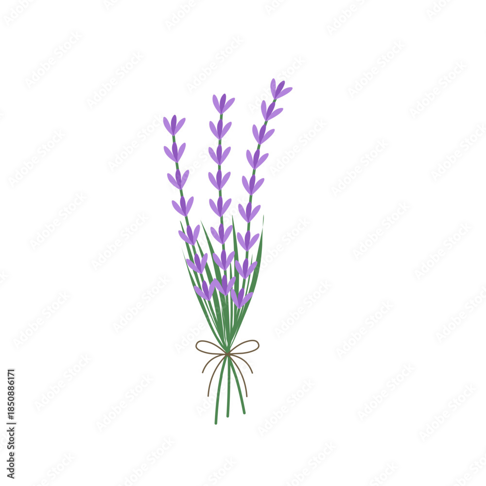 Fototapeta premium Illustration of lavender flowers. Lavender flowers with green leaves. Illustration of a lavender bouquet. Illustration of purple flowers