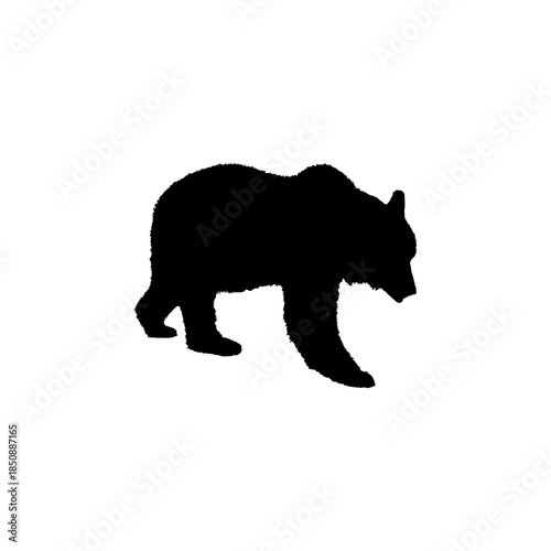 silhouette of bear