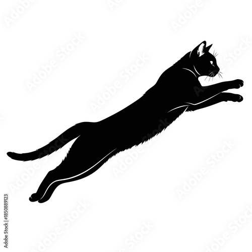 Black cat silhouette midleap poised and ready to pounce.