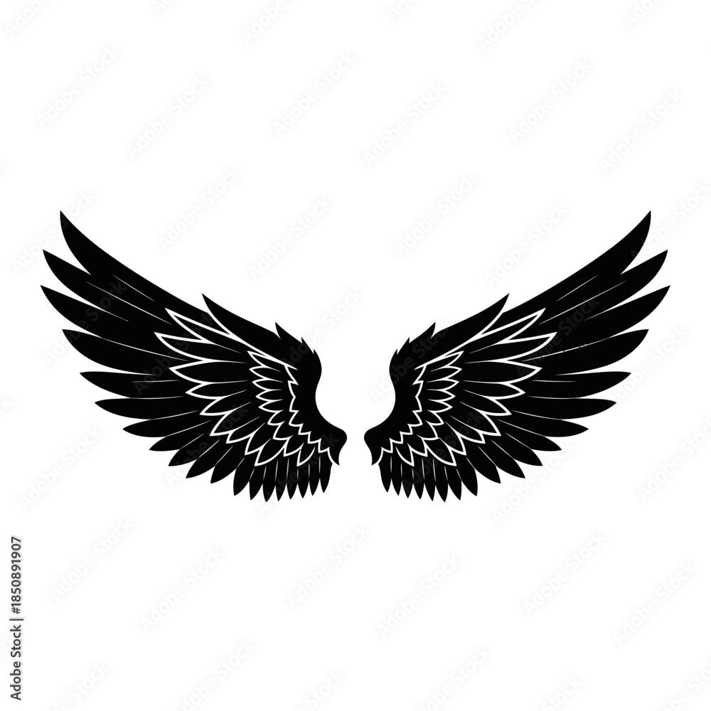 Obraz premium Detailed Black Wings Illustration with White Accents on Feathers.