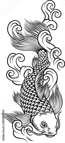 A koi carp coy fish. An original illustration in a vintage Japanese woodcut art style.