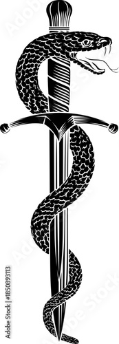 A dagger knife with snake w...