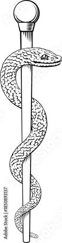 Rod of Asclepius staff medical symbol. Intertwined snake around a rod or wooden staff. Often mistakenly called a Caduceus. Doctor icon for medicine and health care. Vintage woodcut etching style.