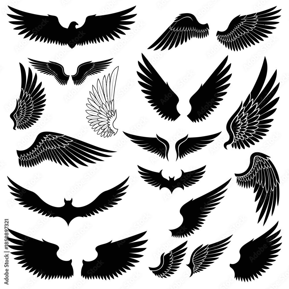 Obraz premium Collection of Various Wing Designs in Black and White.