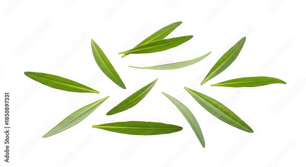 Naklejka premium A green glass bottle of apple soda of transparent