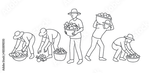 Line art illustration of farm workers harvesting vegetables, bending, carrying baskets, and collecting produce during agricultural field work