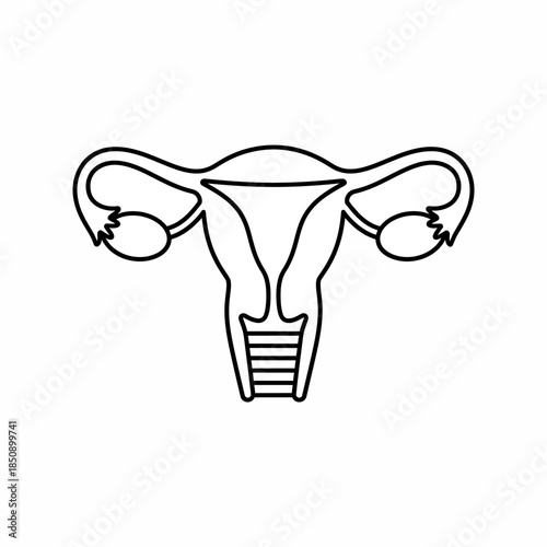 Vector icons Anatomical Illustration of the Female Reproductive System. EPS Editable