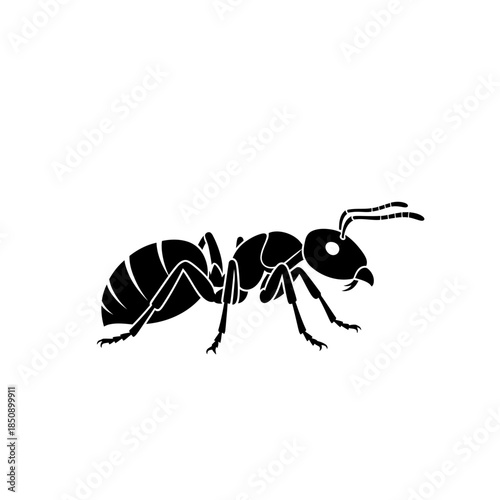 Vector icons Black ant silhouette vector graphic illustration isolated on a white background. EPS Editable