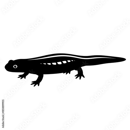 Vector icons Black silhouette of a newt amphibian icon isolated on a white background. EPS Editable
