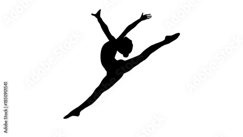 silhouette of a ballet dancer