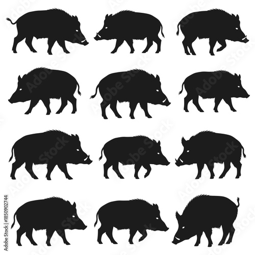 Silhouette of Wild Boars A Collection of Animal Silhouettes.