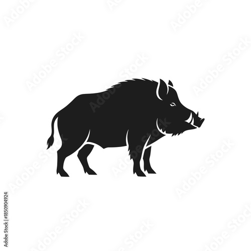 Silhouette of a Wild Boar with Prominent Tusks.