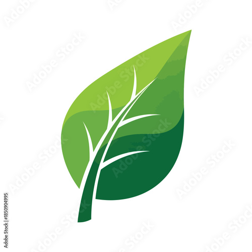 Stylized green leaf with prominent veins symbolizing nature and growth.