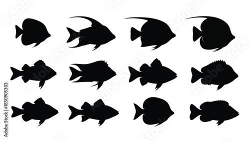 Black fish silhouettes on white background vector