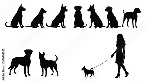 Silhouettes of dogs and woman walking dog on white background vector