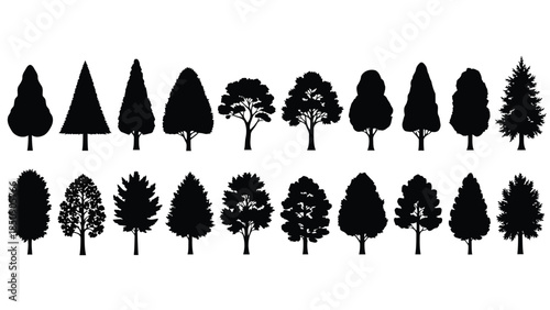 Collection of various tree silhouettes on white background vector