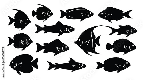 Black fish silhouettes on white background vector