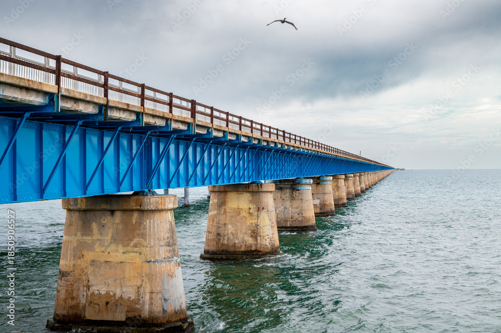 Obraz premium Seven Mile Bridge sous un ciel nuageux, avec un pélican en vol, The Keys, Floride